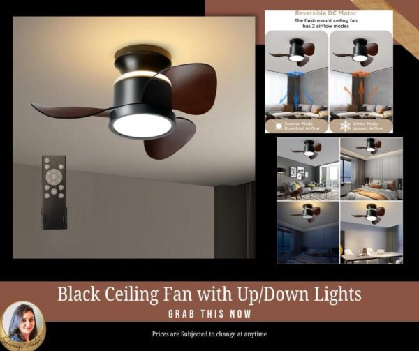 #AD 𝗕𝗜𝗚 𝗗𝗥𝗢𝗣⚡Black Ceiling Fan with Up/Down Lights